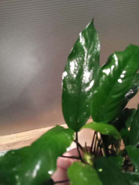 843881_0_82_20150208_203659.jpg