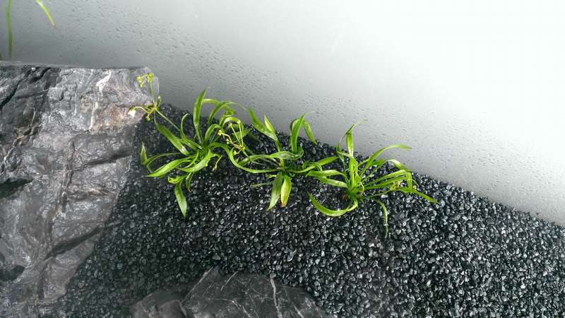 844929_0_82_wp_20140320_005.jpg