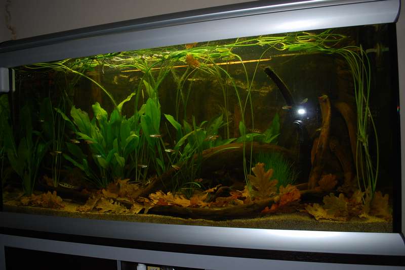 852671nickdeb_0_82_nr5.jpg