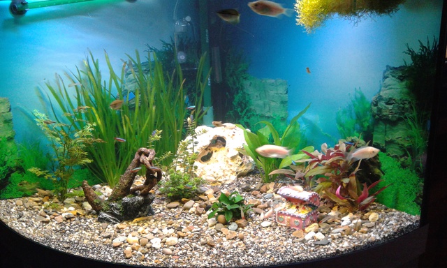 855463ruudmo_0_85_aquariu.jpg