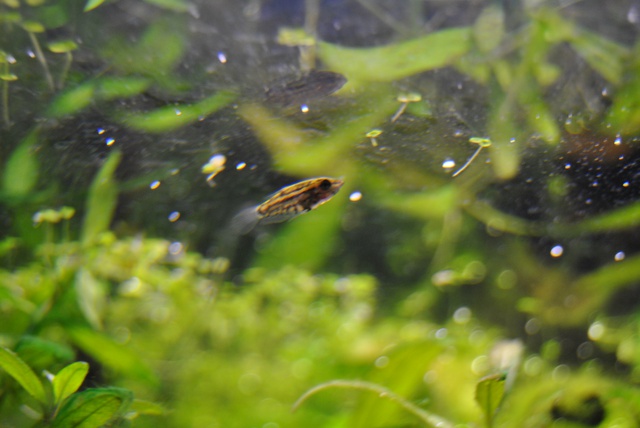 856792rrj_0_85_1605201.jpg