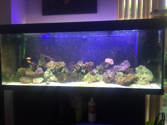 861567aquaria17_0_84_image3.jpg