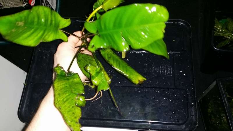 867718_0_82_20140515_22.jpg
