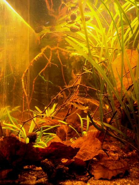 871183_0_82_dsc02761.jpg