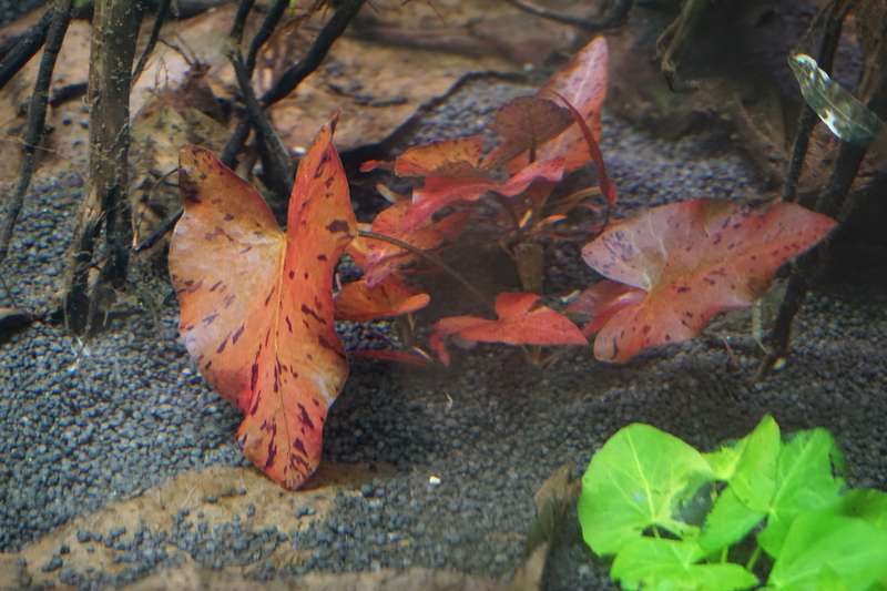 873124tonhageraats_0_82_dsc00100.jpg