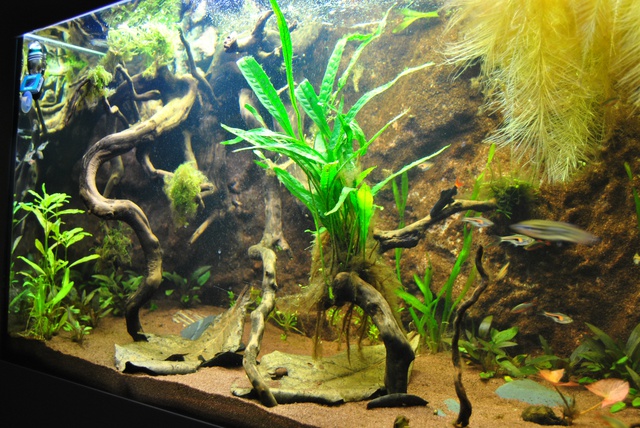 881693rrj_0_85_0201201.jpg