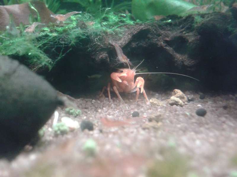 881836_0_82_20140421_231028.jpg