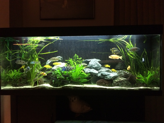 882278aquaria17_0_84_image1.jpg