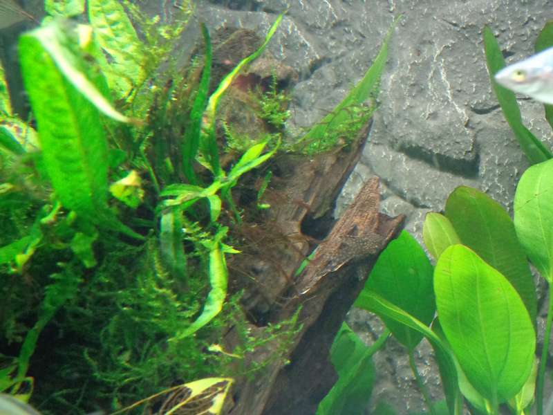 882496_0_82_dsc00715.jpg
