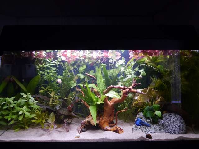 885626_0_82_tropisch_aquarium_okt_13_002.jpg