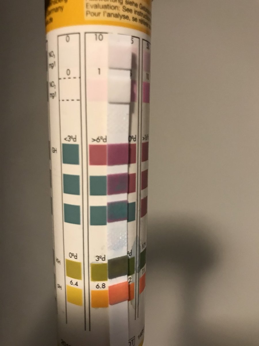 893D3119-7551-4600-828F-34816E263975.jpeg