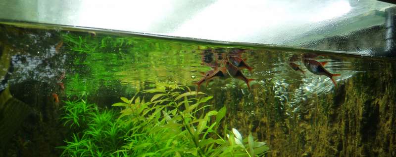 896648_0_82_p1100328smal.jpg