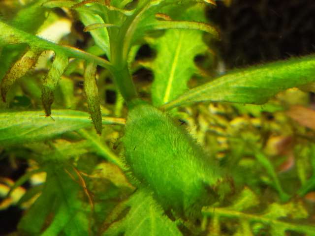 912457_0_82_20140126_143616.jpg