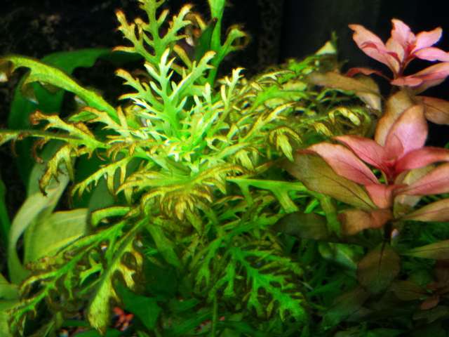 913572_0_82_20140126_143533.jpg
