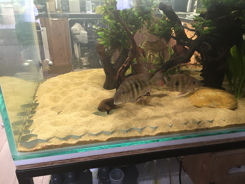 914481tuinkabouter_0_85_guppenbakke.jpg