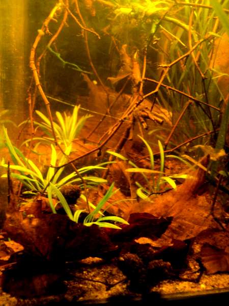916986_0_82_dsc02768.jpg