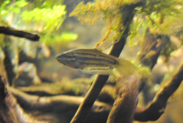 923153rrj_0_85_2712201.jpg