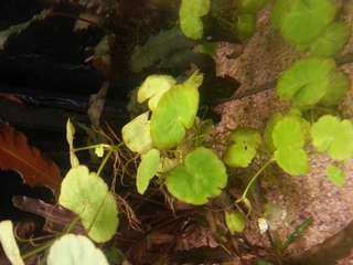 923366aquamitch_0_82_20150223_185916.jpg