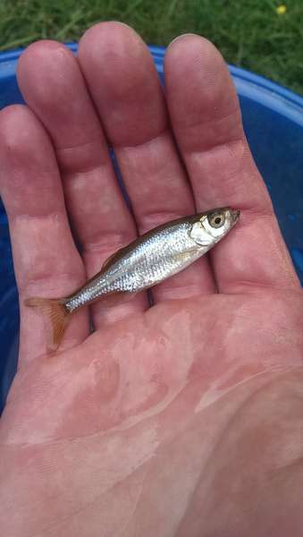 925261kokkiejjj_0_82_imag0142.jpg