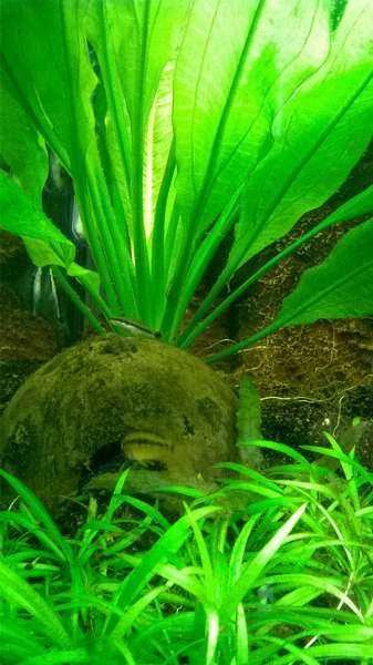 931884_0_82_wp_20151001_14_20_06_pro.jpg