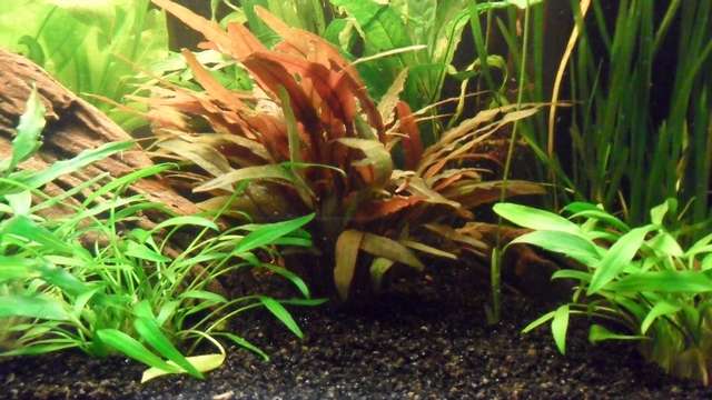 933174_0_82_sam_7110.jpg