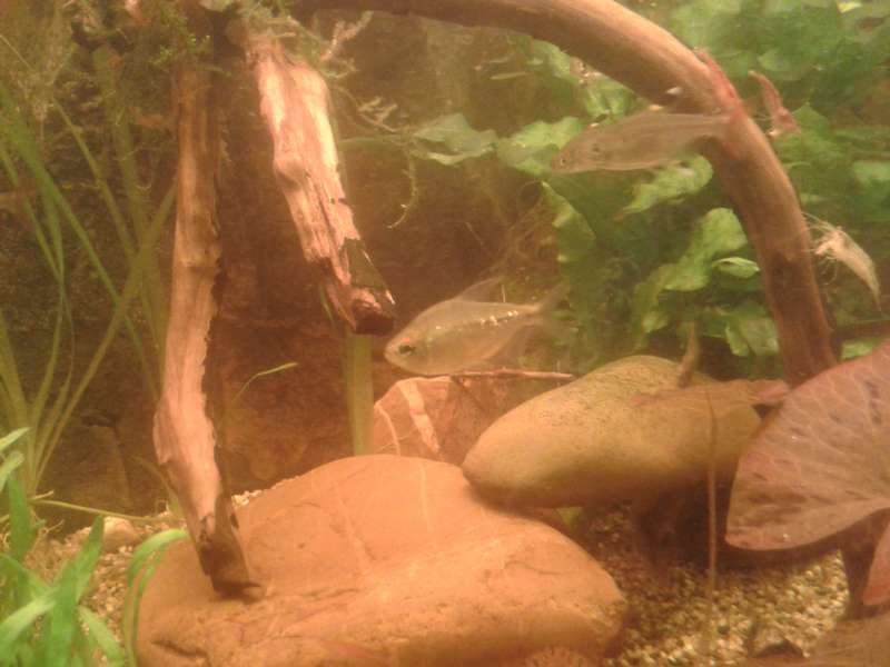 935946an_vrolijk_0_82_20140204_213337.jpg