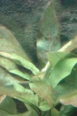 944229_0_82_20160104_1444552.jpg