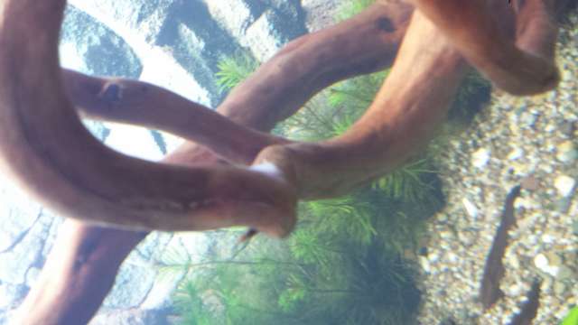948373_0_82_20140131_194059.jpg