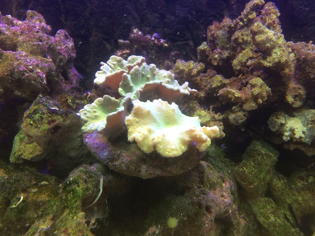 955491aquaria17_0_84_image3.jpg