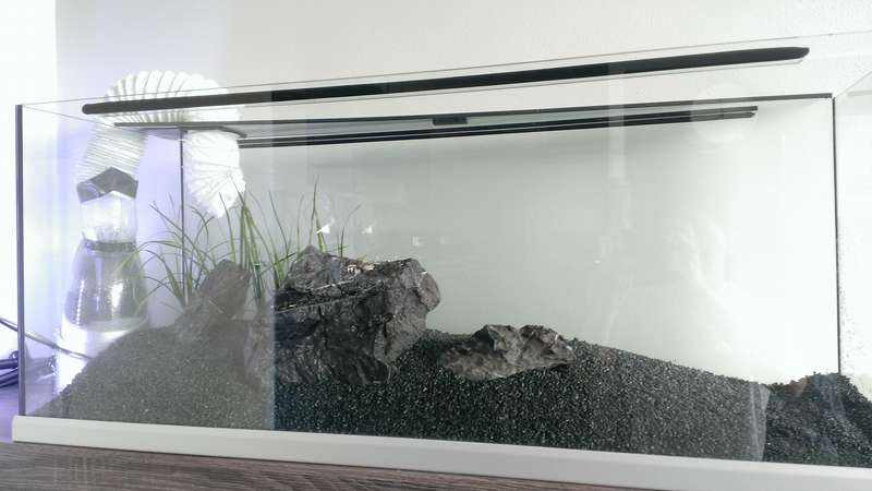 962763jsiegmund_0_82_wp_20140320_002.jpg