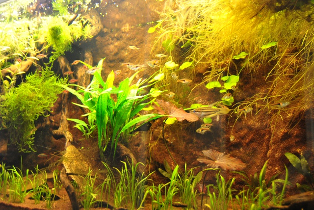 966436rrj_0_85_1605201.jpg