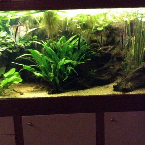 967937mjm.vandijk_0_85_aquariu.jpg