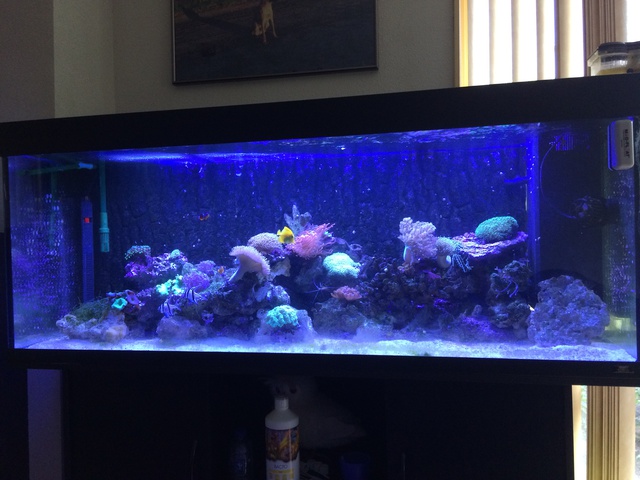 974471aquaria17_0_84_image1.jpg