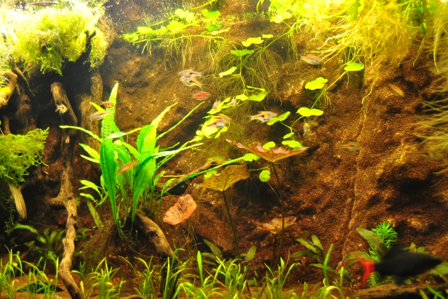 979883rrj_0_85_1604201.jpg