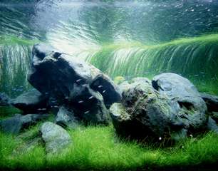 987942sanner_0_82_007.jpg