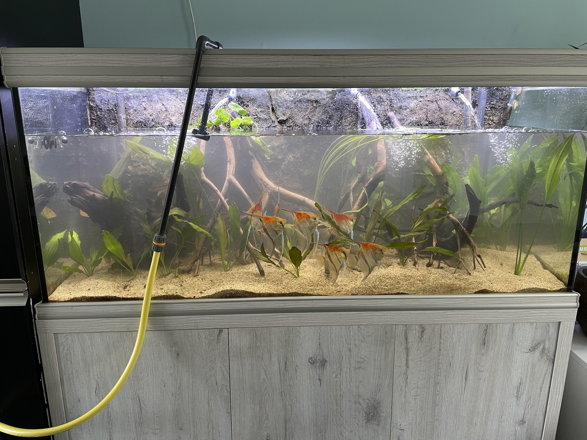9AB65447-9770-41A5-82EE-6BDF3BAF3911.jpeg