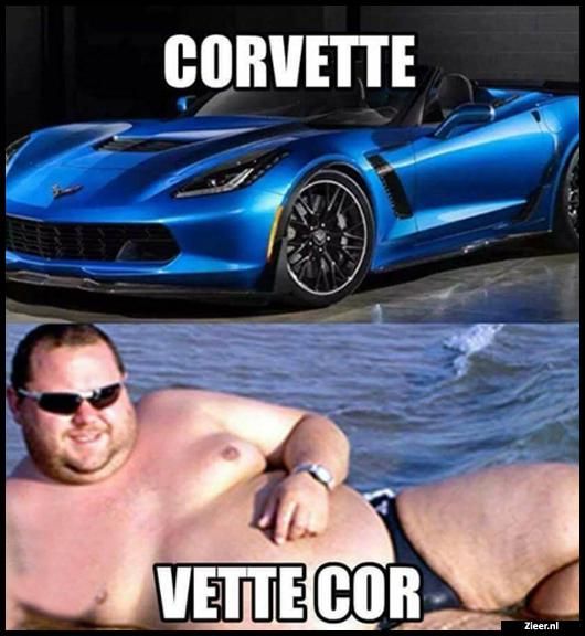 9f20930eec7a22f3dfde909740ff99fe.jpg