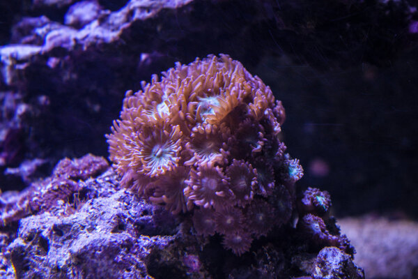 _MG_4034.jpg