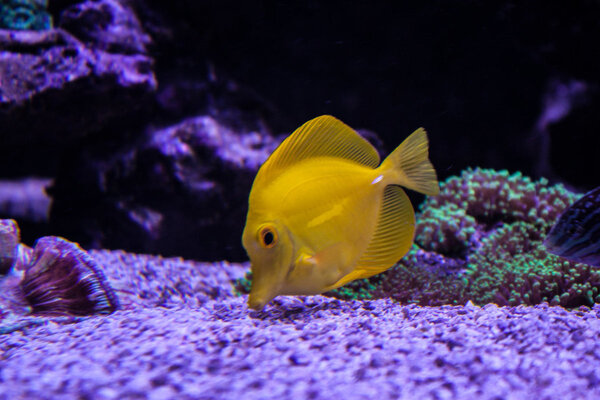 _MG_4077.jpg
