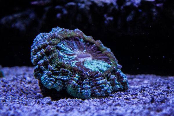 _MG_4094.jpg