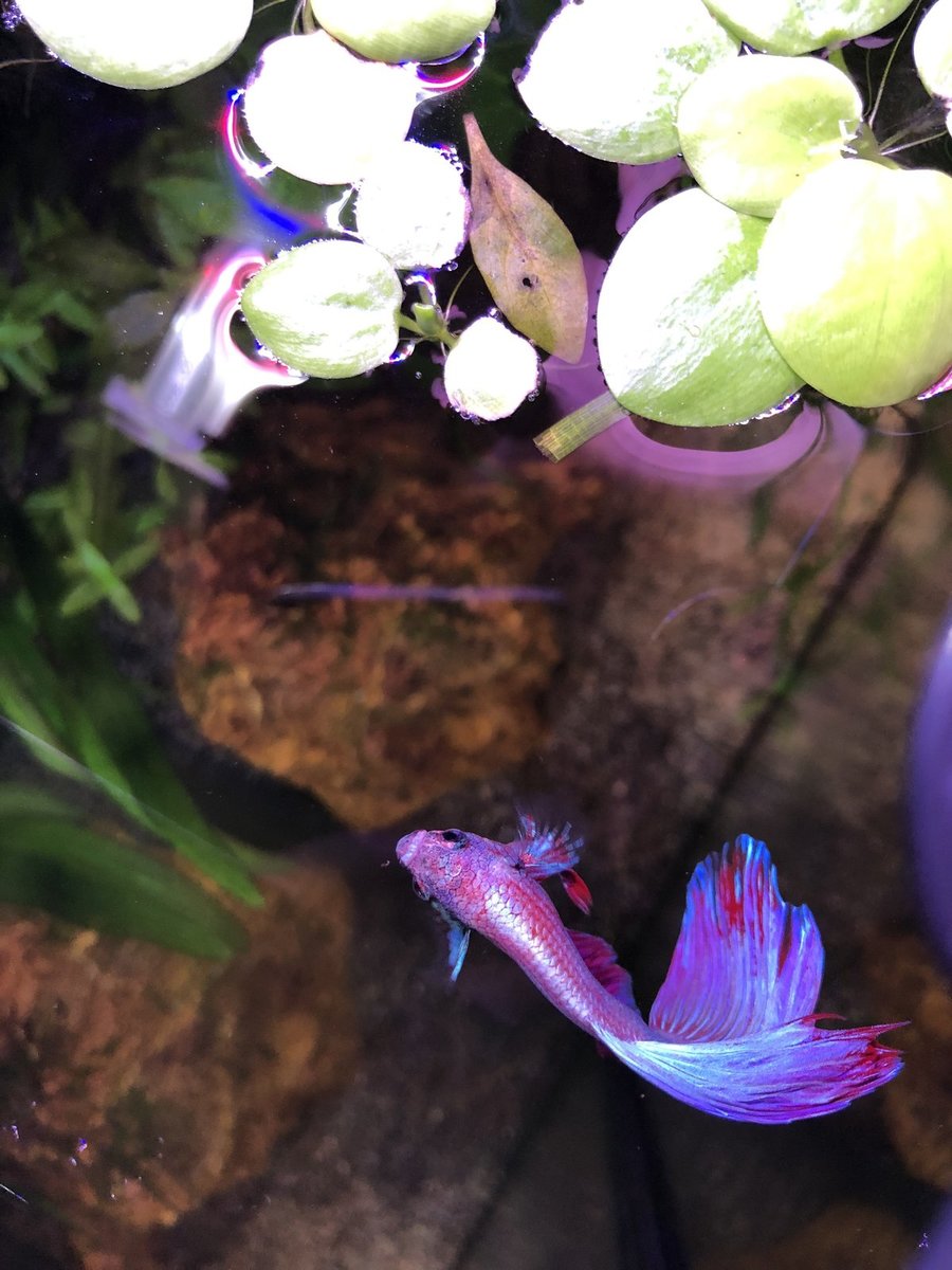 ACB8E7BC-02D4-4559-8723-F08AFF37F4A1.jpeg