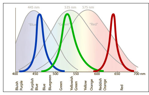 AE4C5DFE-A6BB-46D3-A590-B28A03429613.png