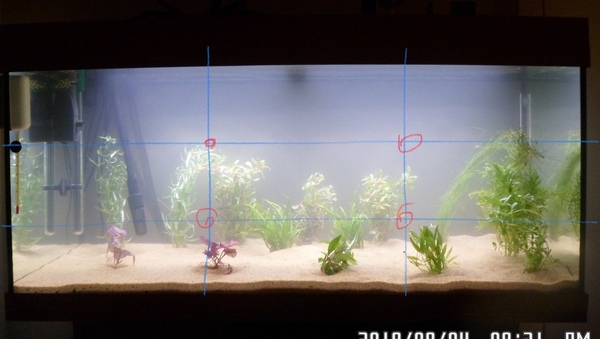 AEDBC3AD-0728-4D6A-910C-22A44664C3D1.jpeg