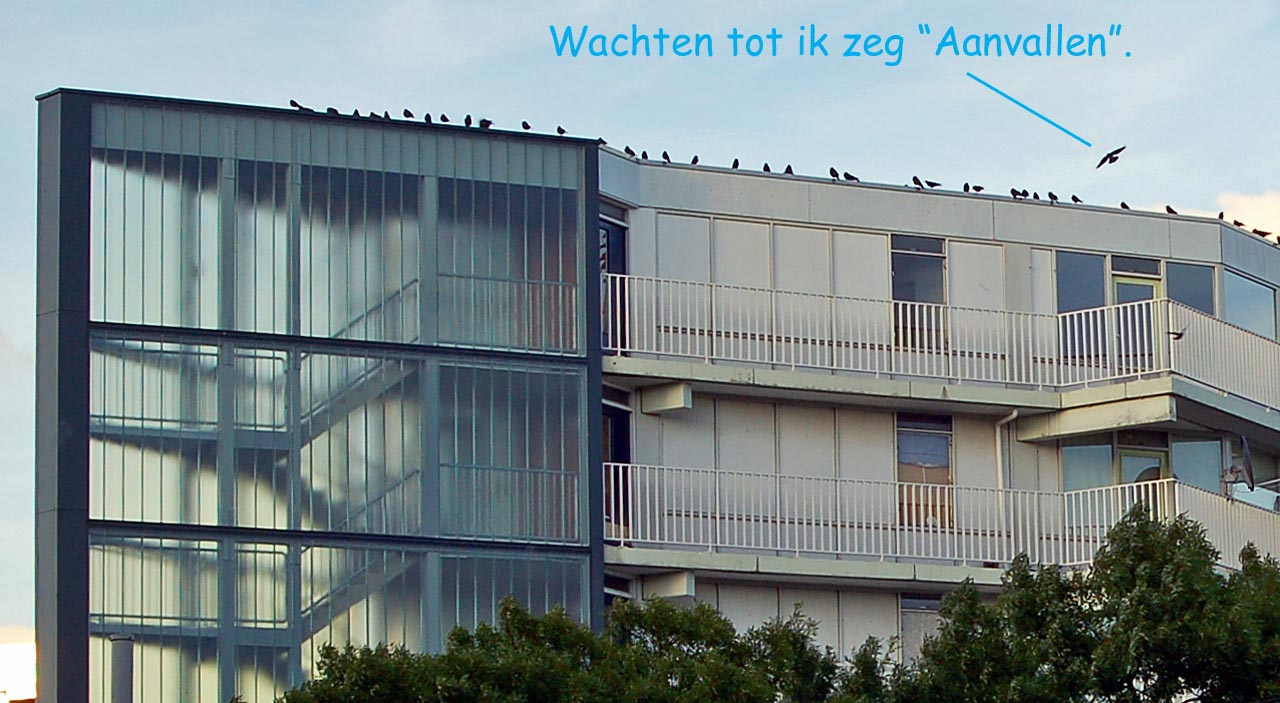 AF011d.jpg
