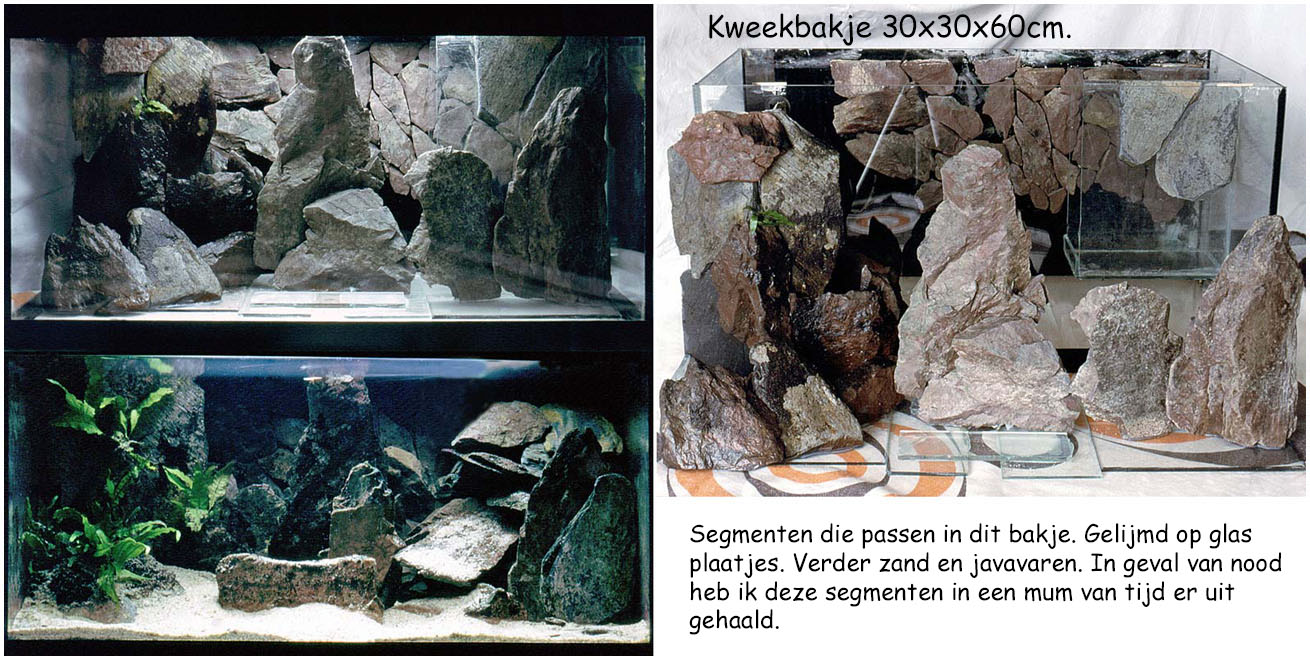 AF012a.jpg
