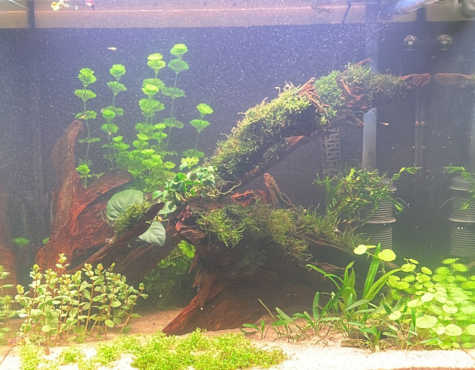 Afbeelding van WhatsApp op 2025-11-11 om 20.39.15_b6d7c6c7.jpg