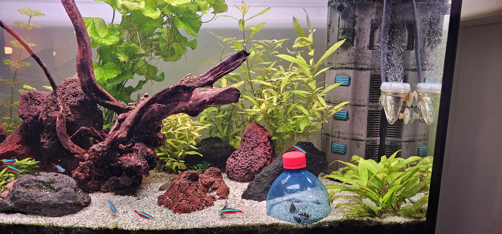 Afbeelding van WhatsApp op 2025-12-12 om 17.29.07_e65c3096.jpg