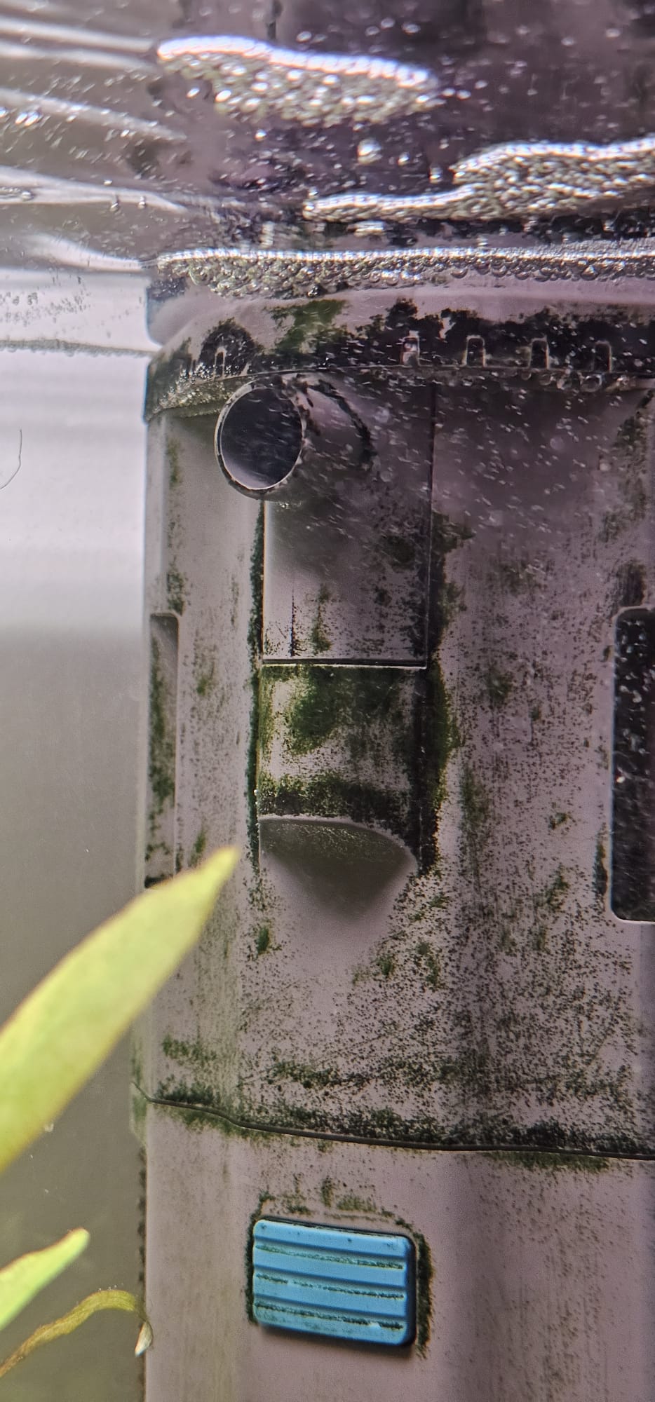 Afbeelding van WhatsApp op 2025-12-12 om 17.29.08_8aa863f0.jpg