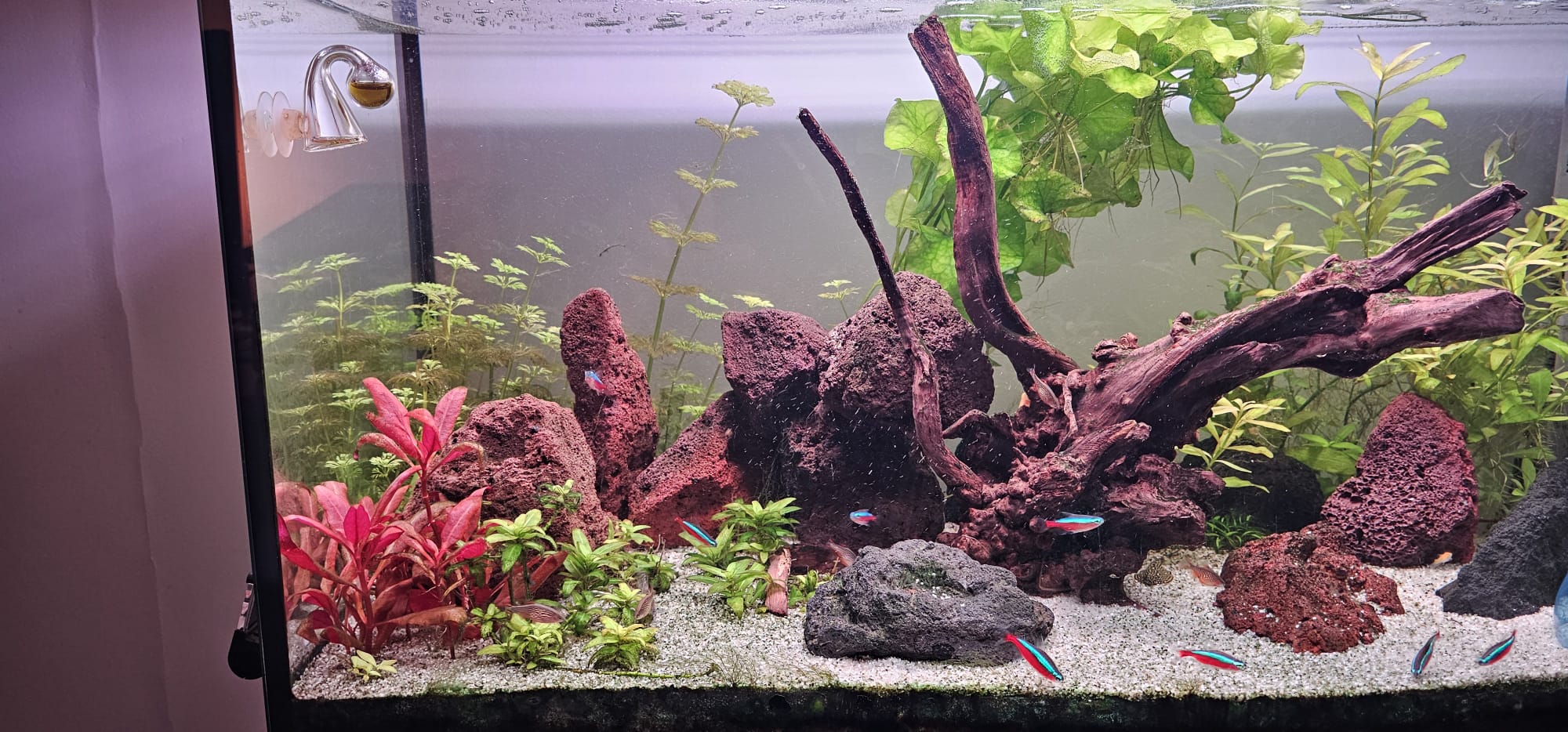 Afbeelding van WhatsApp op 2025-12-12 om 17.29.08_c60c9f90.jpg