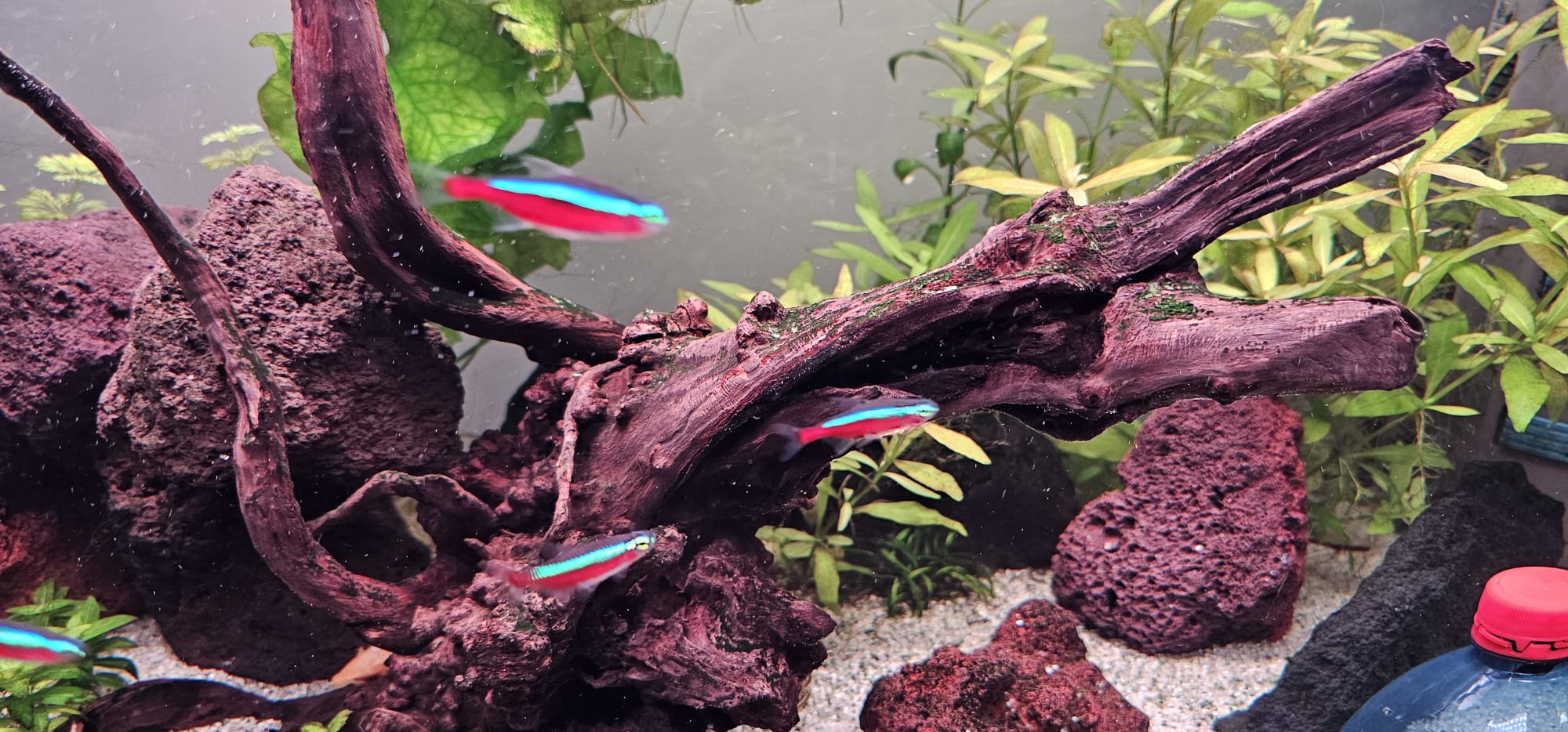 Afbeelding van WhatsApp op 2025-12-12 om 17.29.09_4c4eb7cf.jpg